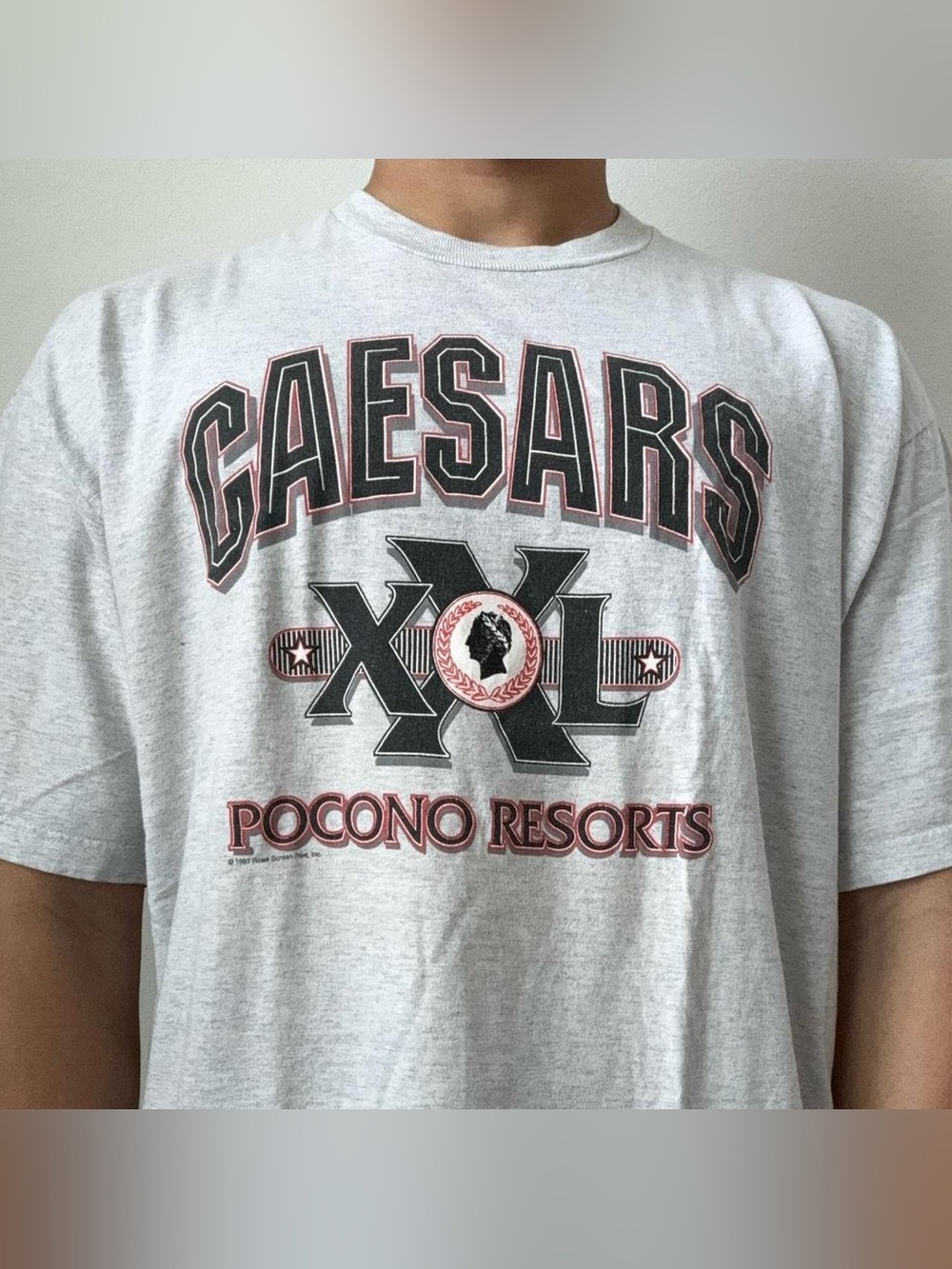 Vintage 1990s Caesars Pocono Resorts Graphics Gray Single Stitched Tee Shirt